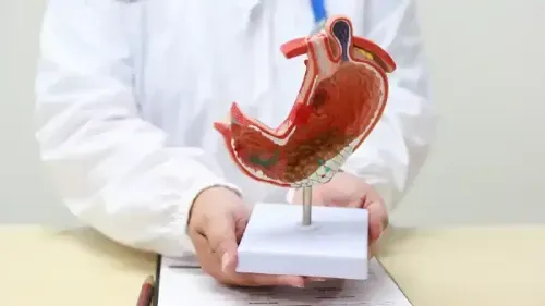 What are Digestive Enzymes?